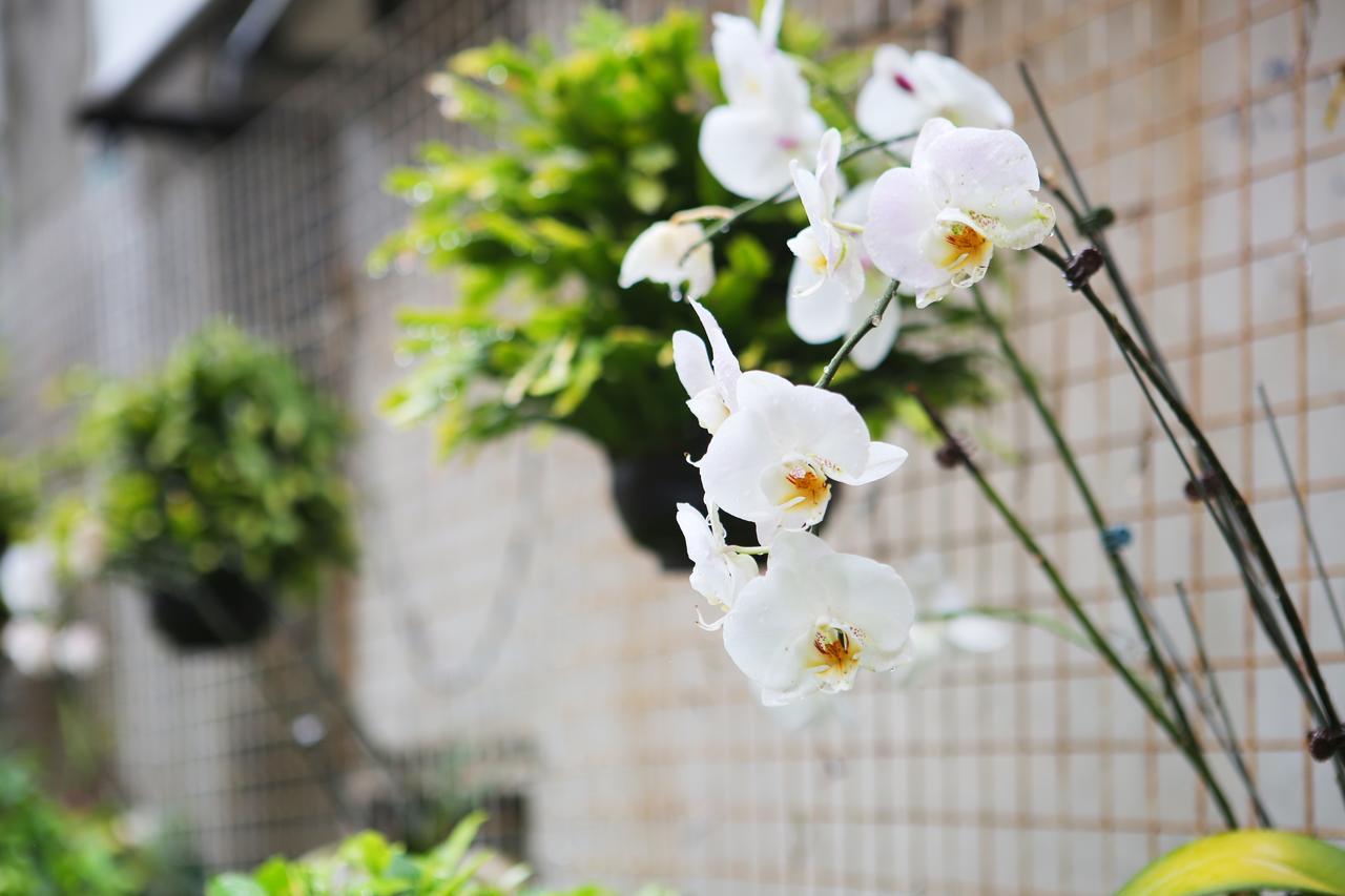 Chiayi Crown Hotel Exteriér fotografie